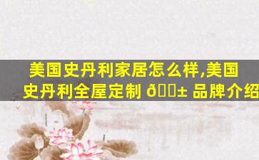 美国史丹利家居怎么样,美国史丹利全屋定制 🐱 品牌介绍
